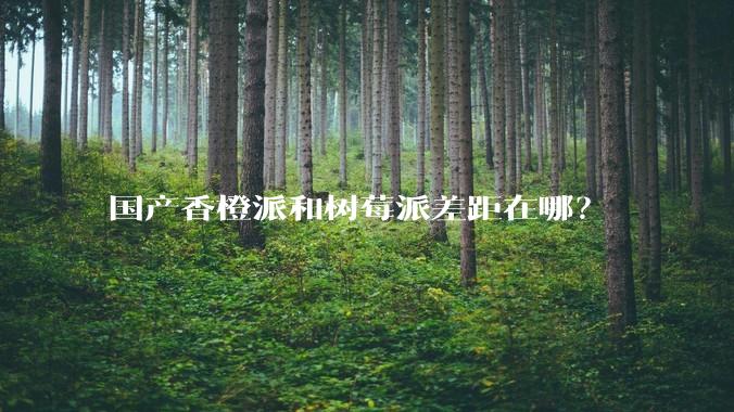 国产香橙派和树莓派差距在哪？