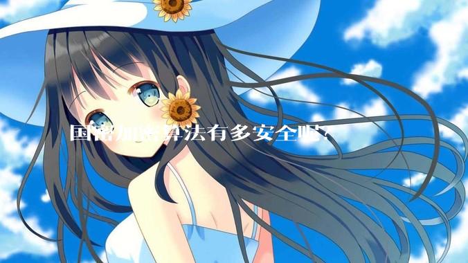 国密加密算法有多安全呢?