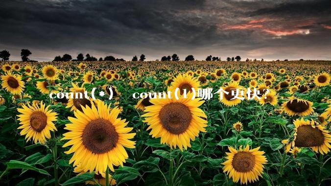 count(*)  count(1)哪个更快?