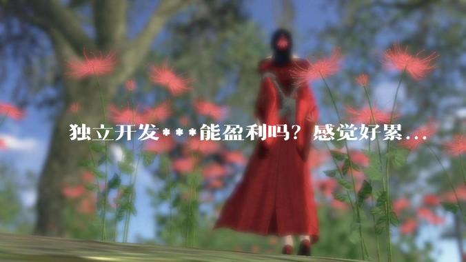 独立开发***能盈利吗?感觉好累...