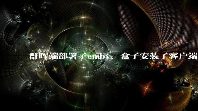 群晖端部署了emby,盒子安装了客户端播放蓝光电影为什么不能显示影片自带字幕?