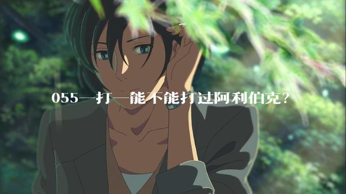 055一打一能不能打过阿利伯克？