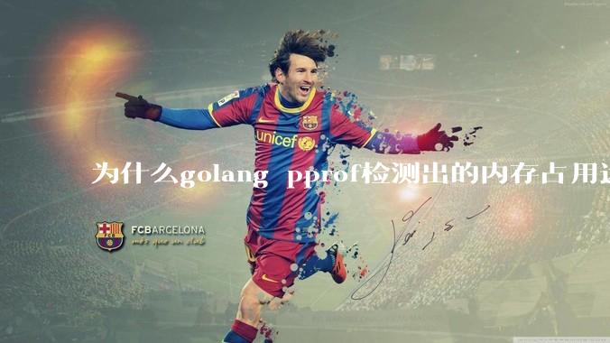 为什么golang pprof检测出的内存占用远小于top命令查看到的内存占用量?