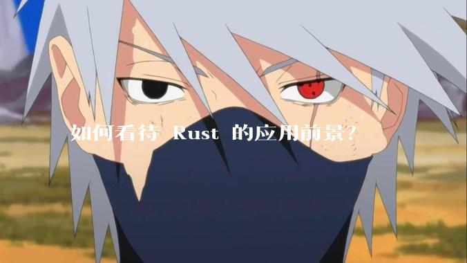 如何看待 Rust 的应用前景?