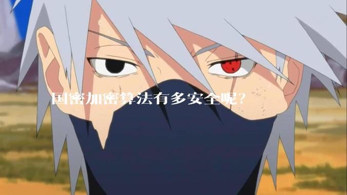 国密加密算法有多安全呢?