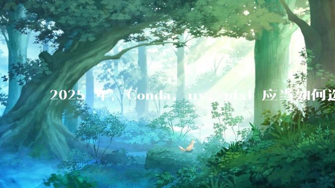 2025 年,Conda、uv、pixi 应当如何选择?