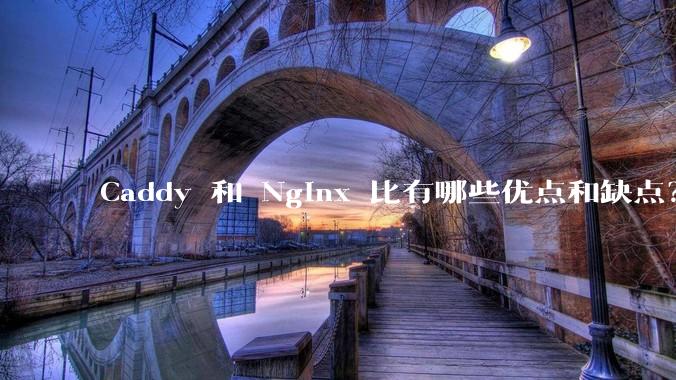 Caddy 和 Nginx 比有哪些优点和缺点?