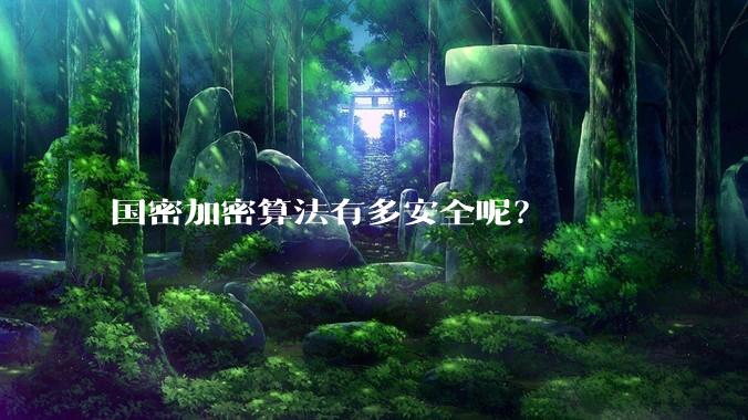 国密加密算法有多安全呢?