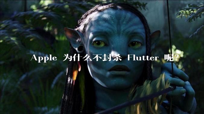 Apple 为什么不封杀 Flutter 呢？