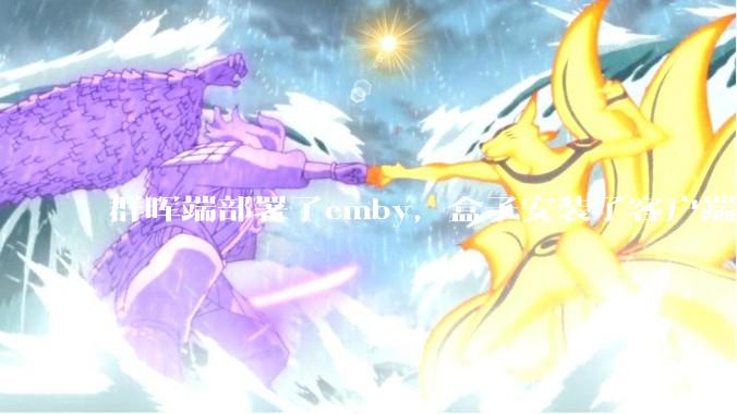 群晖端部署了emby,盒子安装了客户端播放蓝光电影为什么不能显示影片自带字幕?