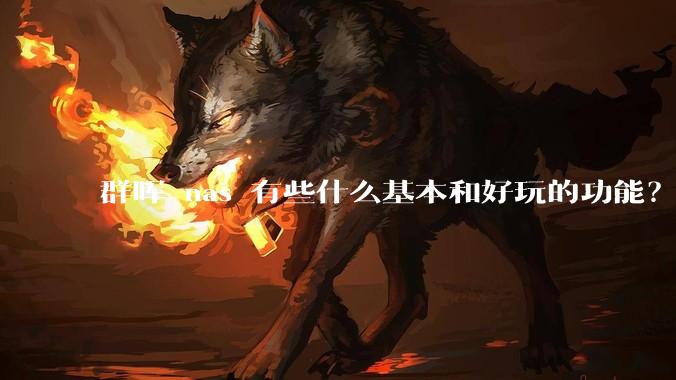 群晖 nas 有些什么基本和好玩的功能?