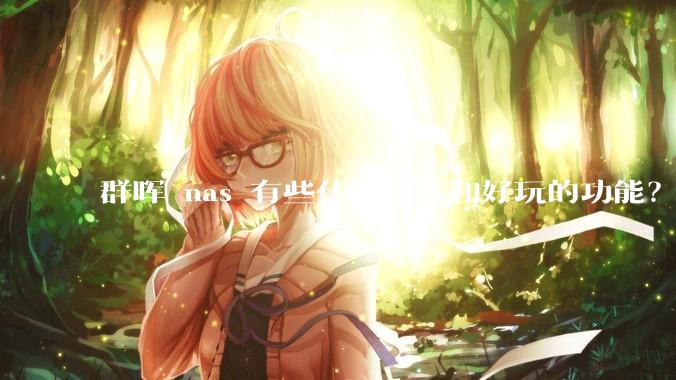 群晖 nas 有些什么基本和好玩的功能?