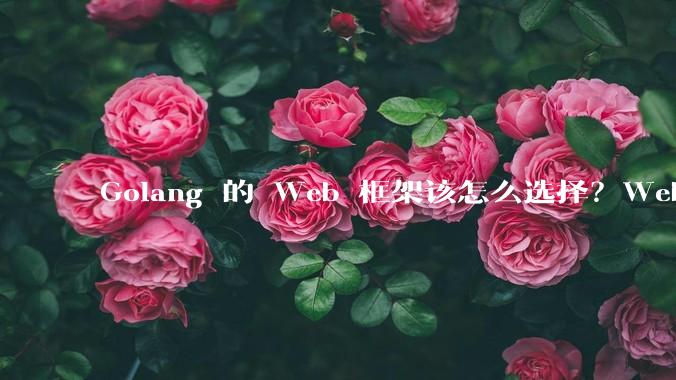 Golang 的 Web 框架该怎么选择?Web 开发又该怎样学?