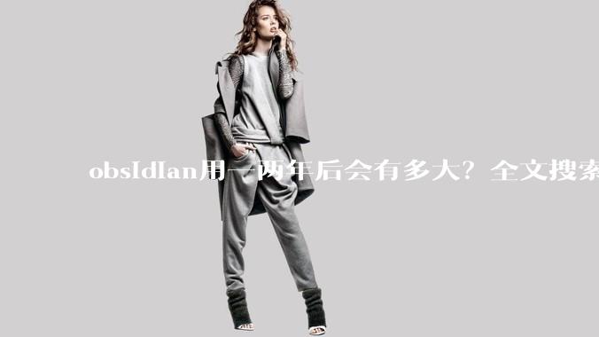 obsidian用一两年后会有多大?全文搜索还快吗?