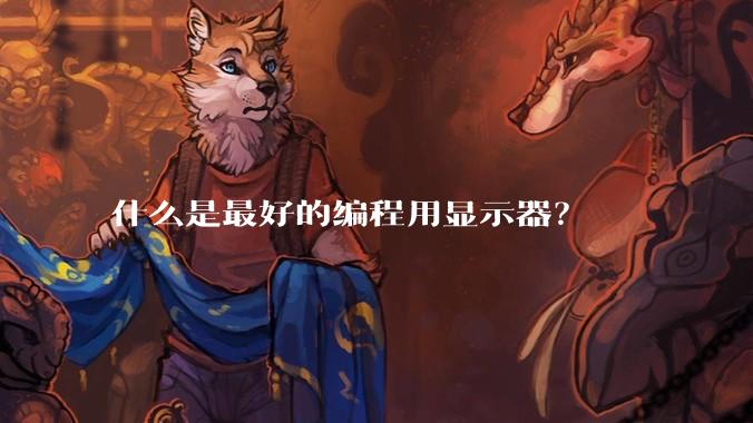 什么是最好的编程用显示器？