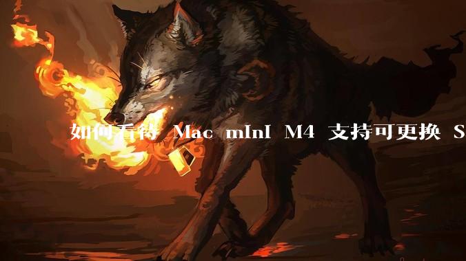 如何看待 Mac mini M4 支持可更换 SSD?