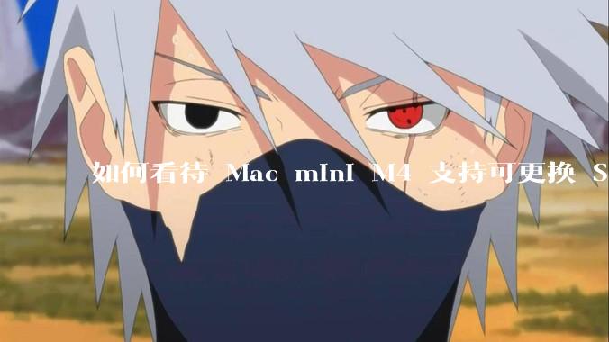 如何看待 Mac mini M4 支持可更换 SSD?
