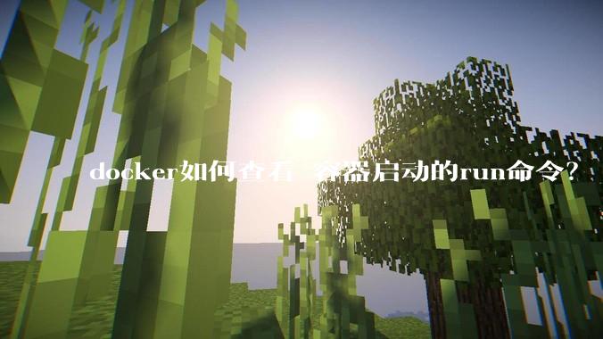 docker如何查看 容器启动的run命令?