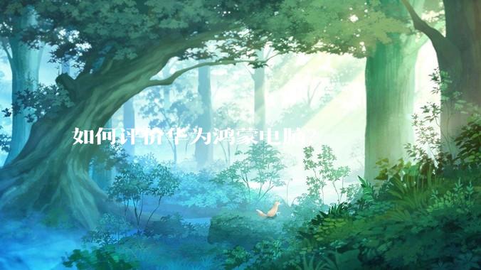 如何评价华为鸿蒙电脑?