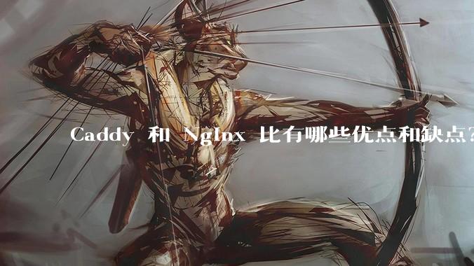 Caddy 和 Nginx 比有哪些优点和缺点?