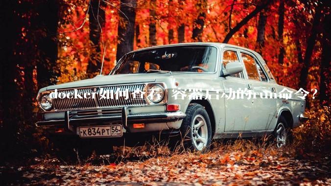 docker如何查看 容器启动的run命令?