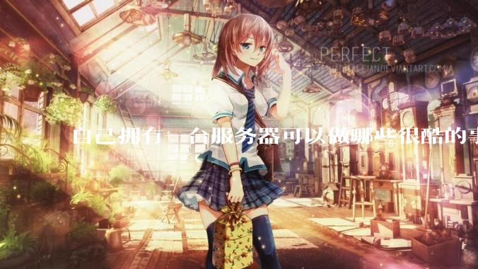 自己拥有一台服务器可以做哪些很酷的事情?