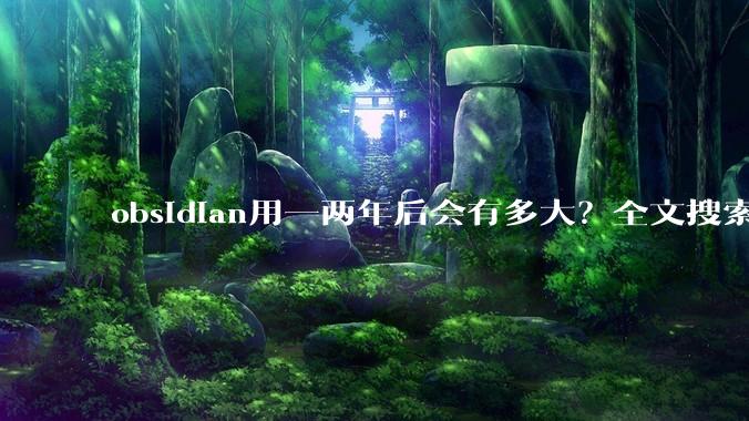 obsidian用一两年后会有多大?全文搜索还快吗?