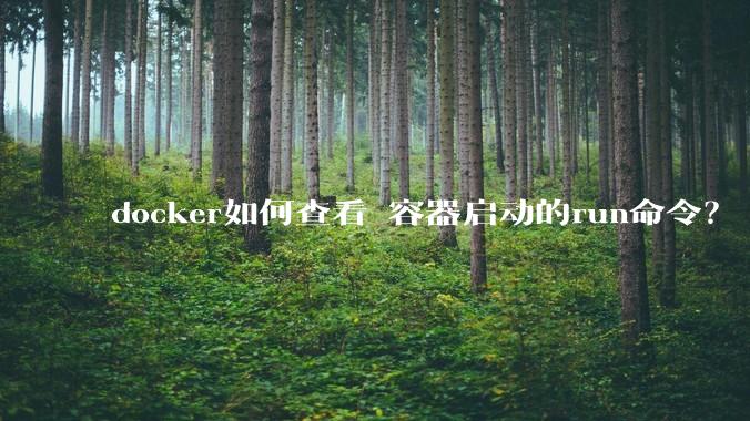 docker如何查看 容器启动的run命令?