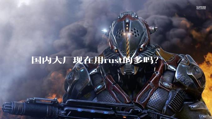 国内大厂现在用rust的多吗?