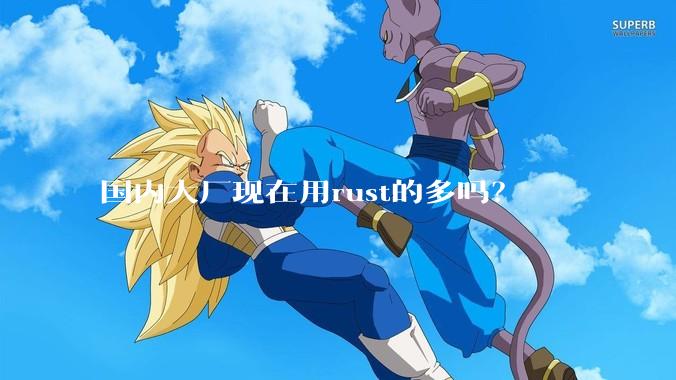 国内大厂现在用rust的多吗?