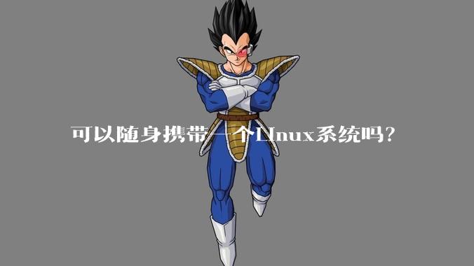 可以随身携带一个Linux系统吗?