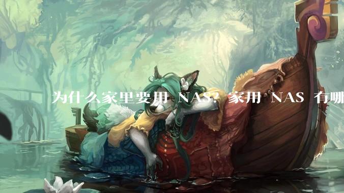 为什么家里要用 NAS?家用 NAS 有哪些实际的、接地气的用途?