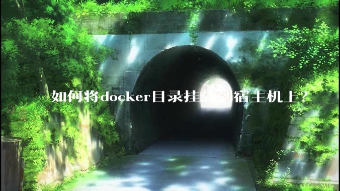 如何将docker目录挂载到宿主机上?