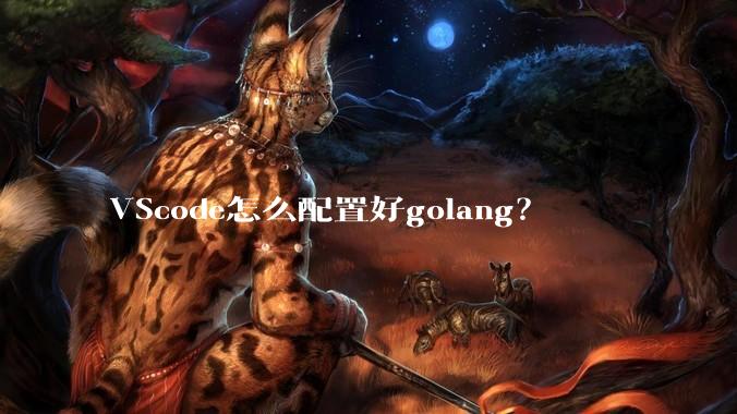 VScode怎么配置好golang?