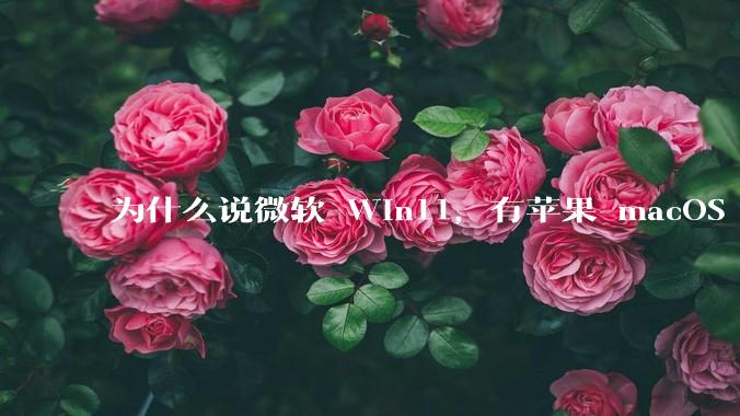 为什么说微软 Win11,有苹果 macOS 的感觉?