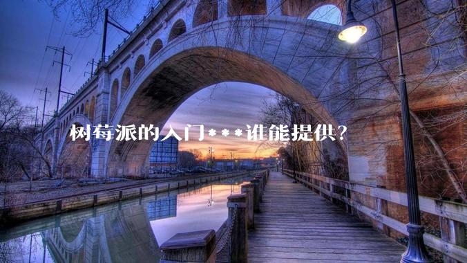 树莓派的入门***谁能提供?