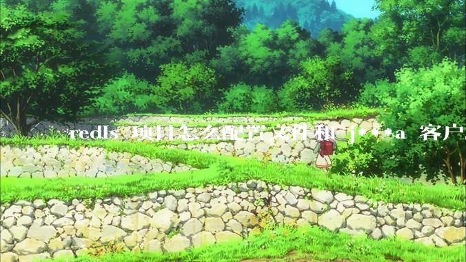 redis 项目怎么配置文件和 j***a 客户端连接?