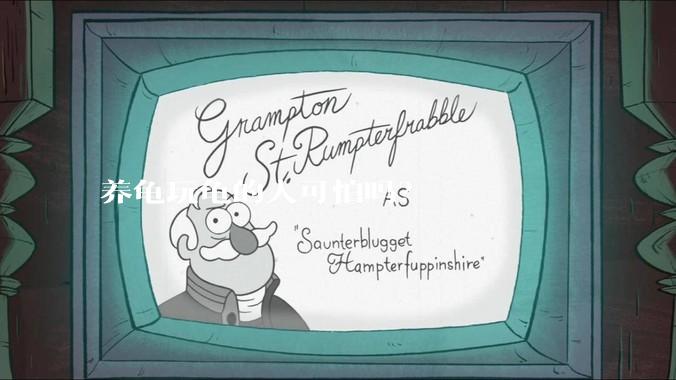 养龟玩龟的人可怕吗？