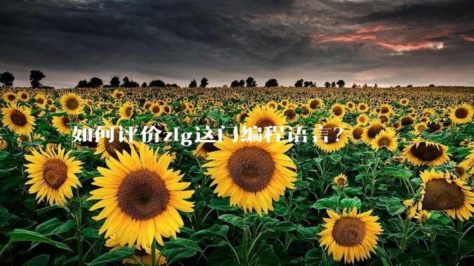 如何评价zig这门编程语言?