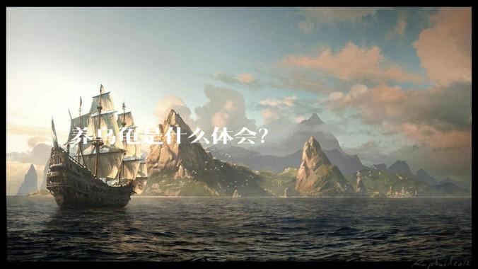 养乌龟是什么体会？