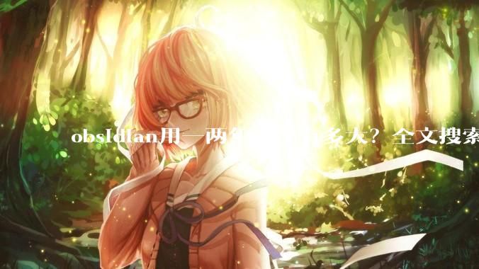 obsidian用一两年后会有多大?全文搜索还快吗?