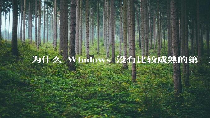 为什么 Windows 没有比较成熟的第三方桌面环境(explorer.exe)?