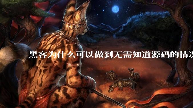 黑客为什么可以做到无需知道源码的情况下找出系统漏洞?