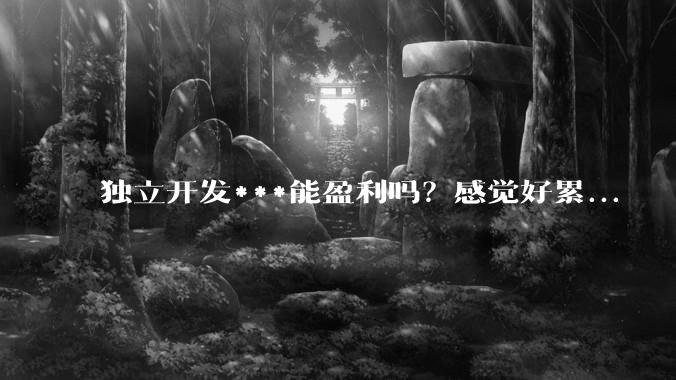 独立开发***能盈利吗?感觉好累...