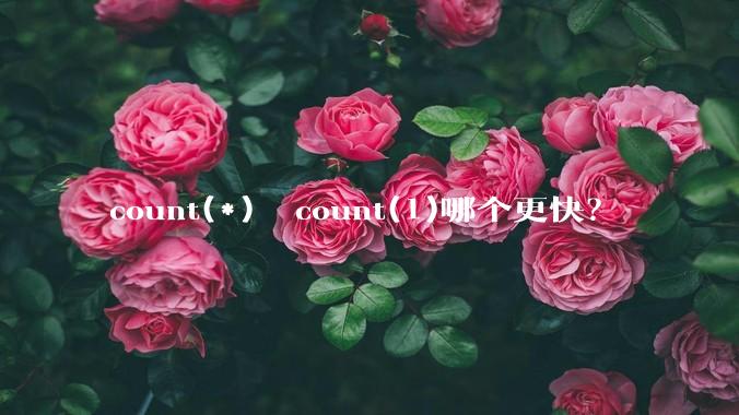 count(*)  count(1)哪个更快?