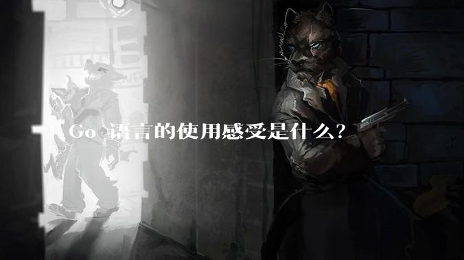 Go 语言的使用感受是什么?
