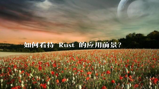 如何看待 Rust 的应用前景?