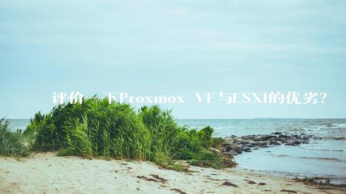 评价一下Proxmox VE与ESXi的优劣?